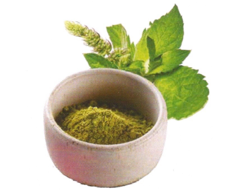 Tulsi Product